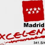 madridexcelentegris