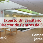 experto universitario en director de centros de servicios sociales