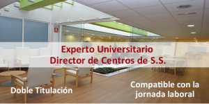 experto universitario en director de centros de servicios sociales