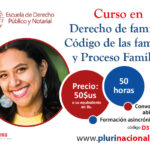 Curso Derecho de Familia: Código de Las Familias y Proceso Familiar